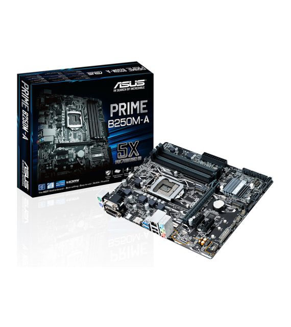 مادربردایسوسPRIMEB250M-A