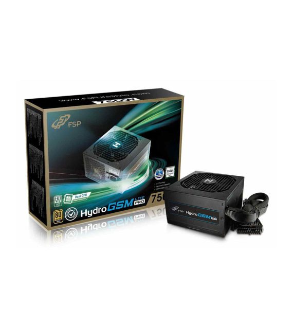 پاور اف اس پی HYDRO GSM LITE PRO 750W (HGS-750M)