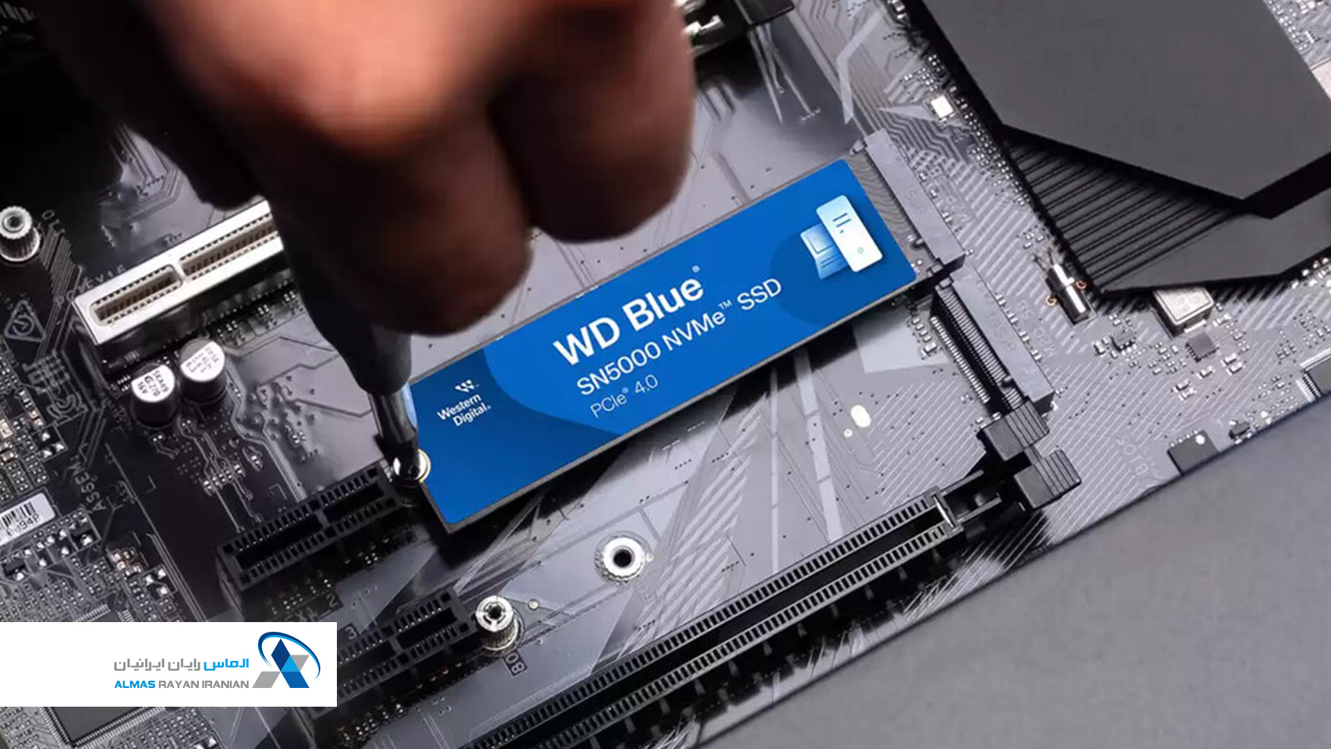 WD-SN5000-SSD